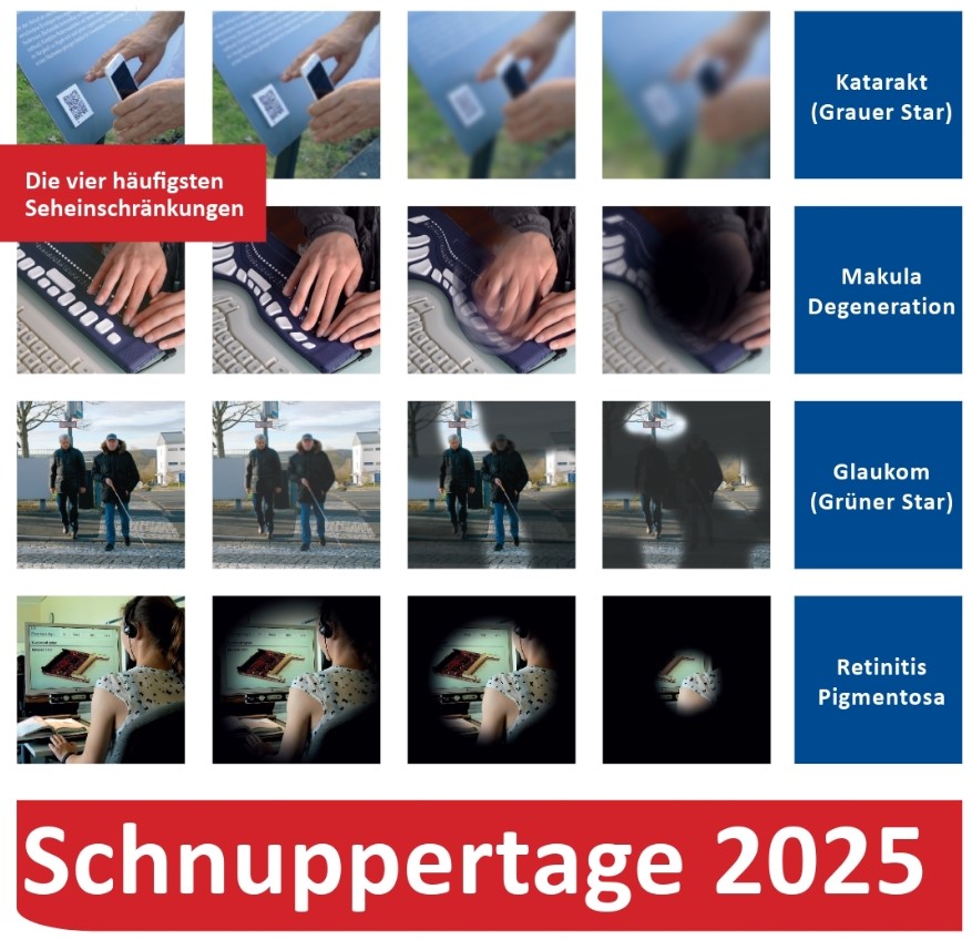 Plakat mit Simulationen verschiedener Augenerkrankungen